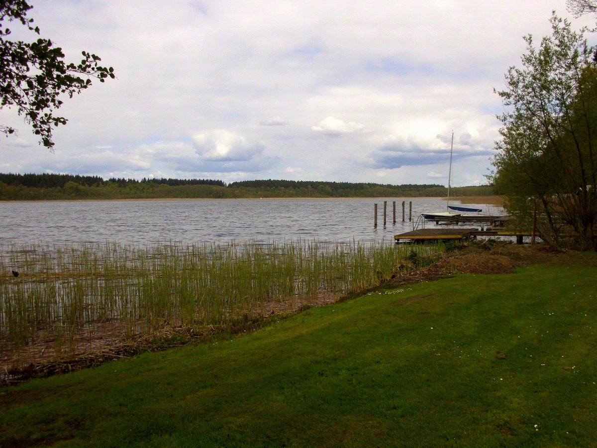 Der Labussee am Canower Ufer, Blickrichtung Norden. Wer mit dem Kanu unterwegs ist, kann z.B. hier beim Fischer einkehren. [9.5.2017]