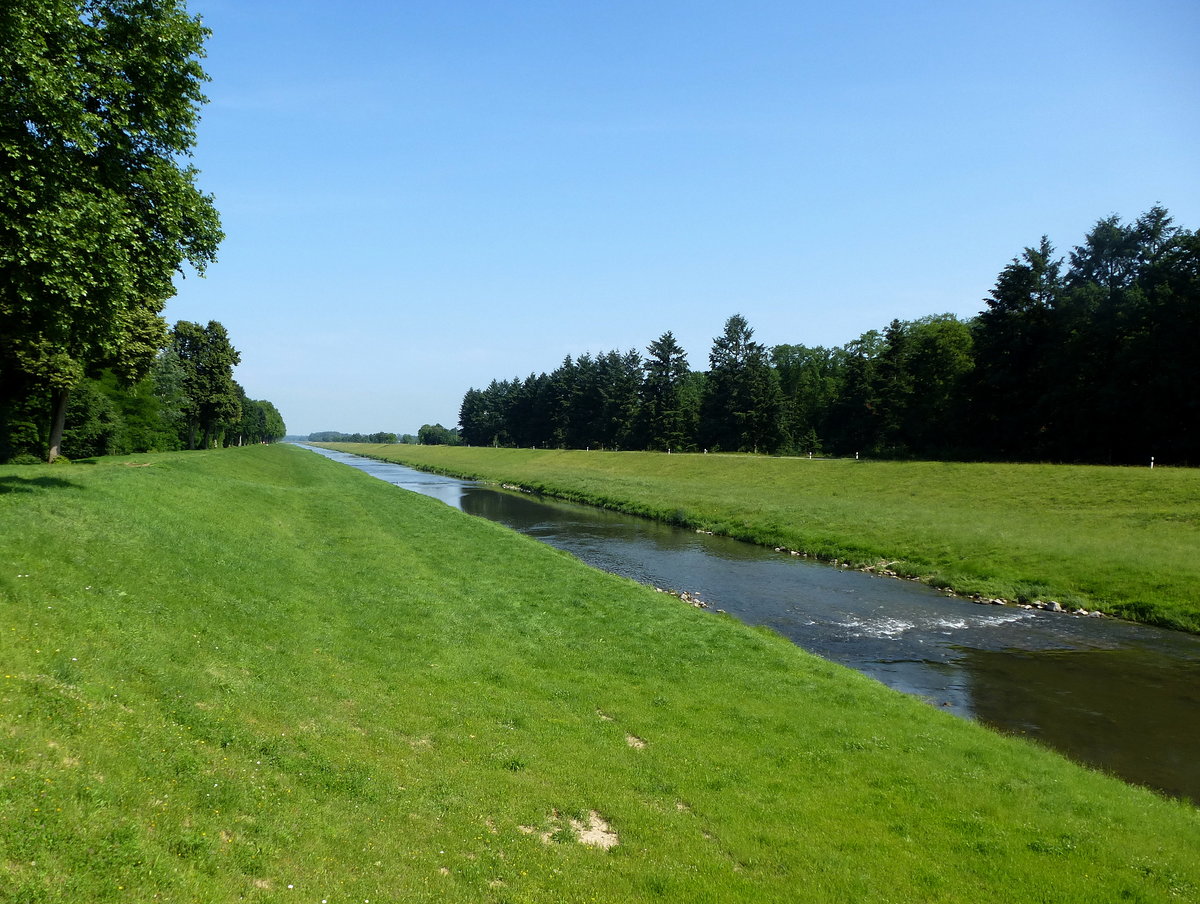 der Leopoldskanal durchfließt auf dem Weg zum Rhein den Forchheimer Wald in der Rheinebene, Juni 2018