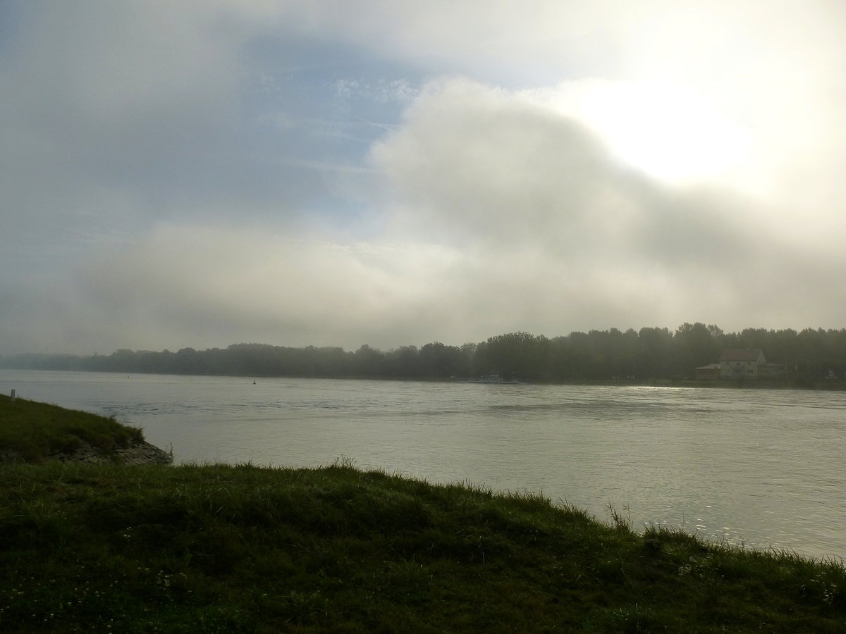 der morgentliche Herbstnebel am Rhein, hier bei Neuburg, Sept.2017