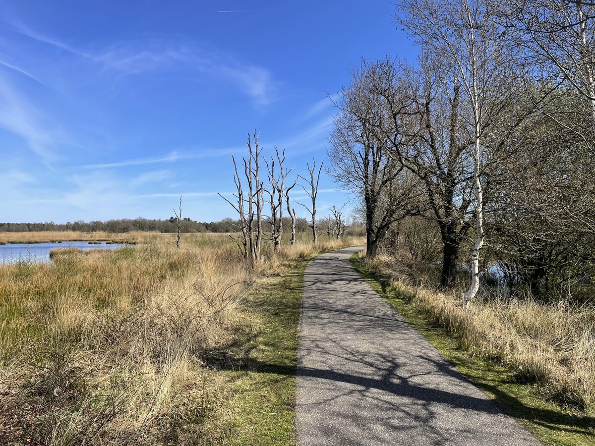 Der Nationalpark Dwingelderveld besteht aus Heidearealen, aus mehr als fünfzig Seen und Tümpeln, aus Flugsandflächen sowie aus Waldgebieten. Quer durch den Nationalpark führen Wege für Wanderer und Radfahrer, teilweise auf Holzpfaden über sumpfiges Gelände. Aufnahme: 15. April 2022.