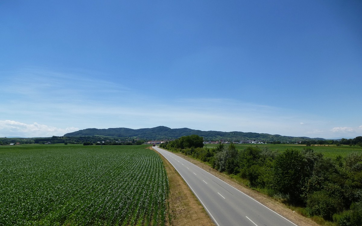 der nrdliche Kaiserstuhl, aus der Rheinebene gesehen bei Forchheim, Juli 2014