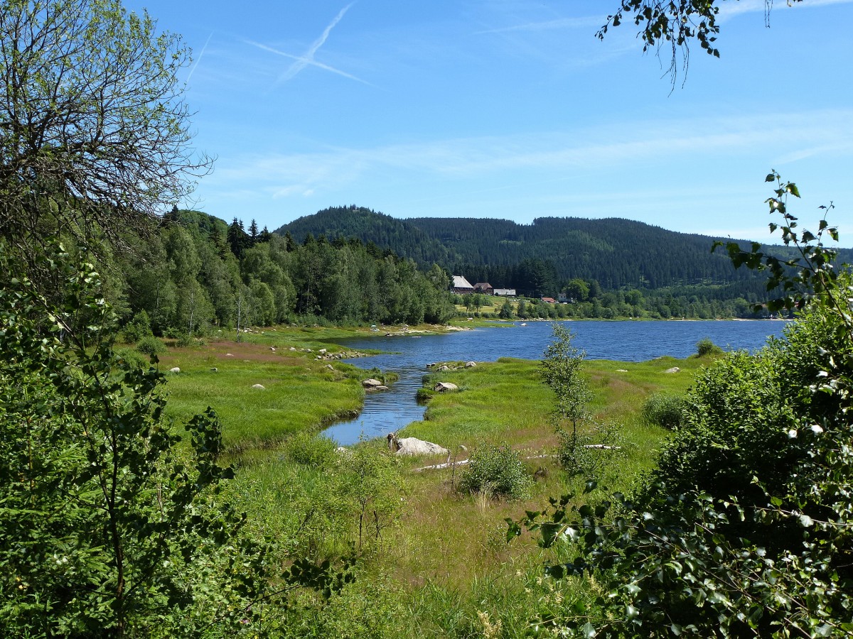 der nördlichste Teil des Schluchsees mit kleinem Zufluß und der Ortschaft Aha im Hintergrund, Juli 2014