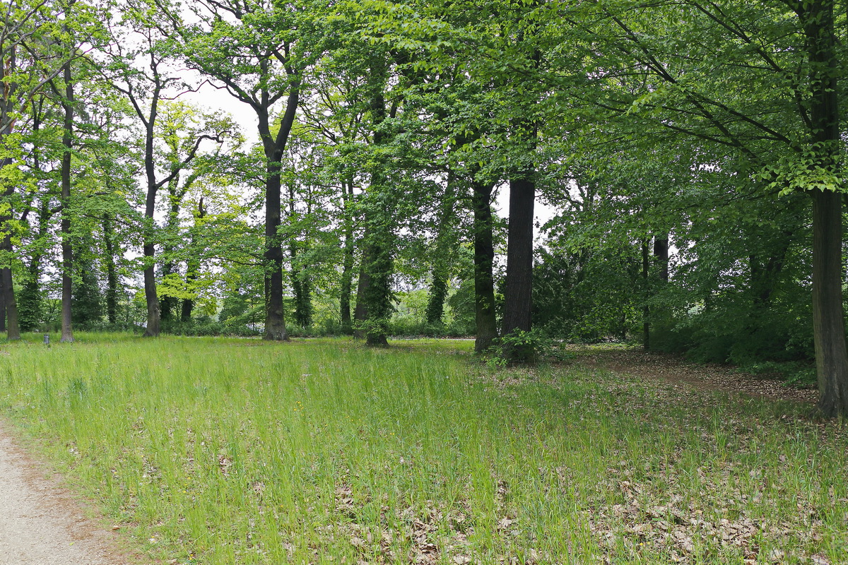 Der Park in den neuen  Jahr am Schloss Cecillienhof am Jungfernsee besucht am 15. Mai 2019.

Das Fotografieren für private Zwecke ist mit einer Fotoerlaubnis gestattet, die an der Kasse  für 3 € erworben wurde. 
Weitere Information gab es insofern, dass diese Fotoerlaubnis  nur für Innen gültig ist und dann gab es noch ein rotes Armbändchen.