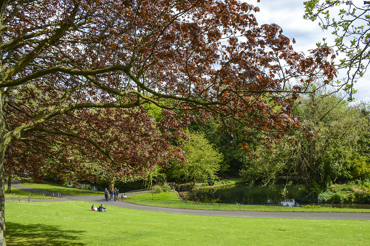 Der Phoenix Park   ist eine große Parkanlage 3 km nordwestlich des Stadtzentrums von Dublin. Mit einer Fläche von 808 ha (8,08 km²) und einer umschließenden Mauer von 11 km Länge ist der Park eine der größten innerstädtischen Parkanlagen der Welt. Er wird oft als größte innerstädtische Parkanlage in Europa bezeichnet, allerdings ist der Sutton Park nahe Birmingham (England) und der Richmond Park in London (England) größer.
Aufnahme: 11. Mai 2018.