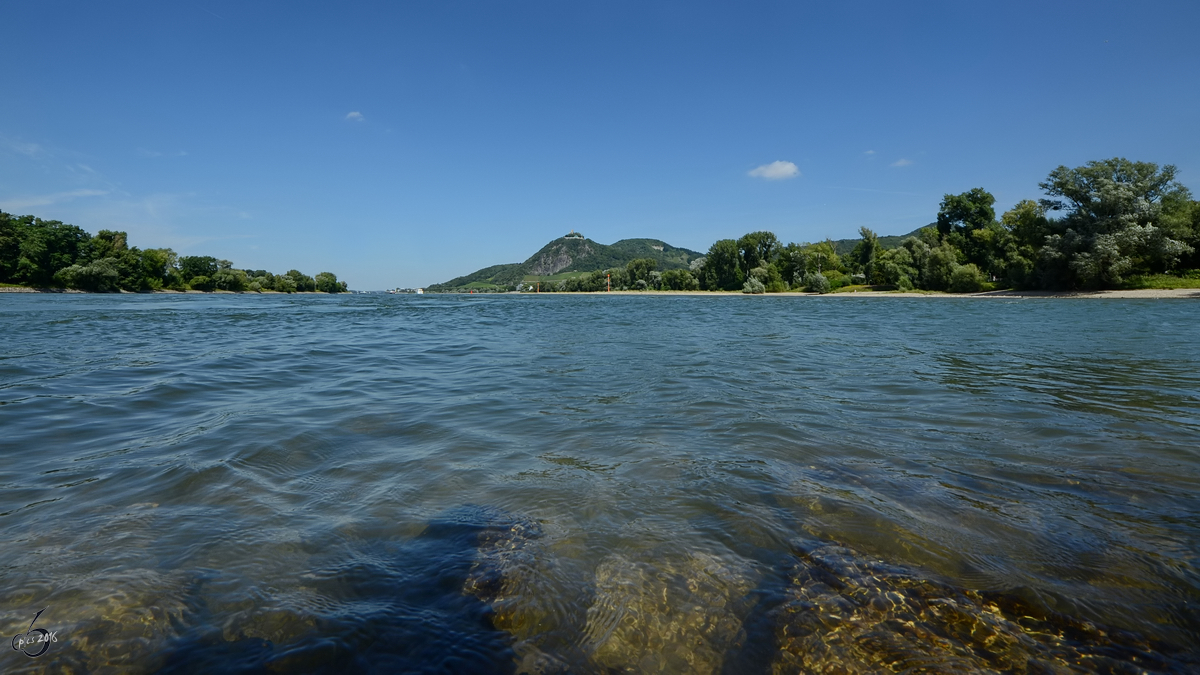 Der Rhein an der nördlichen Spitze der Insel Grafenwerth bei Bad Honnef. (August 2012)