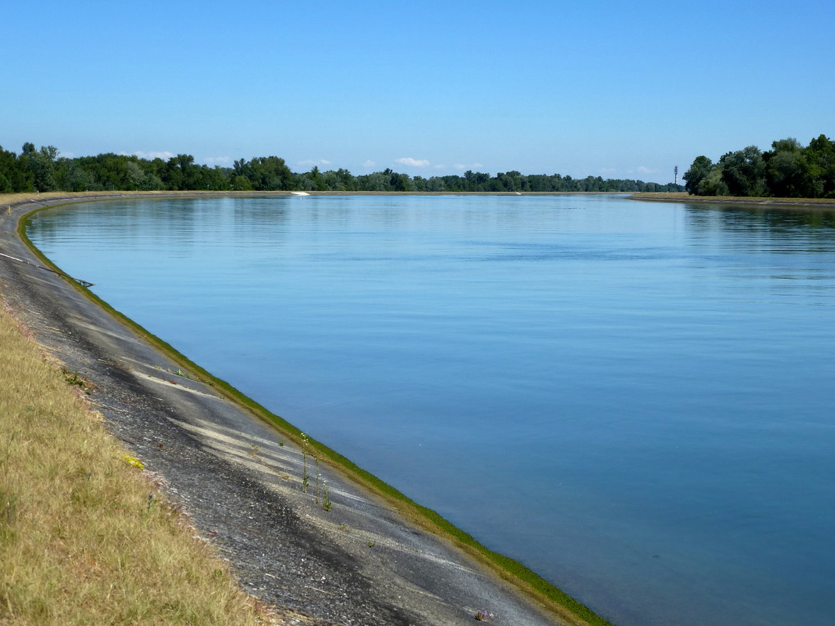 der Rhein südlich von Markolsheim, Juni 2017