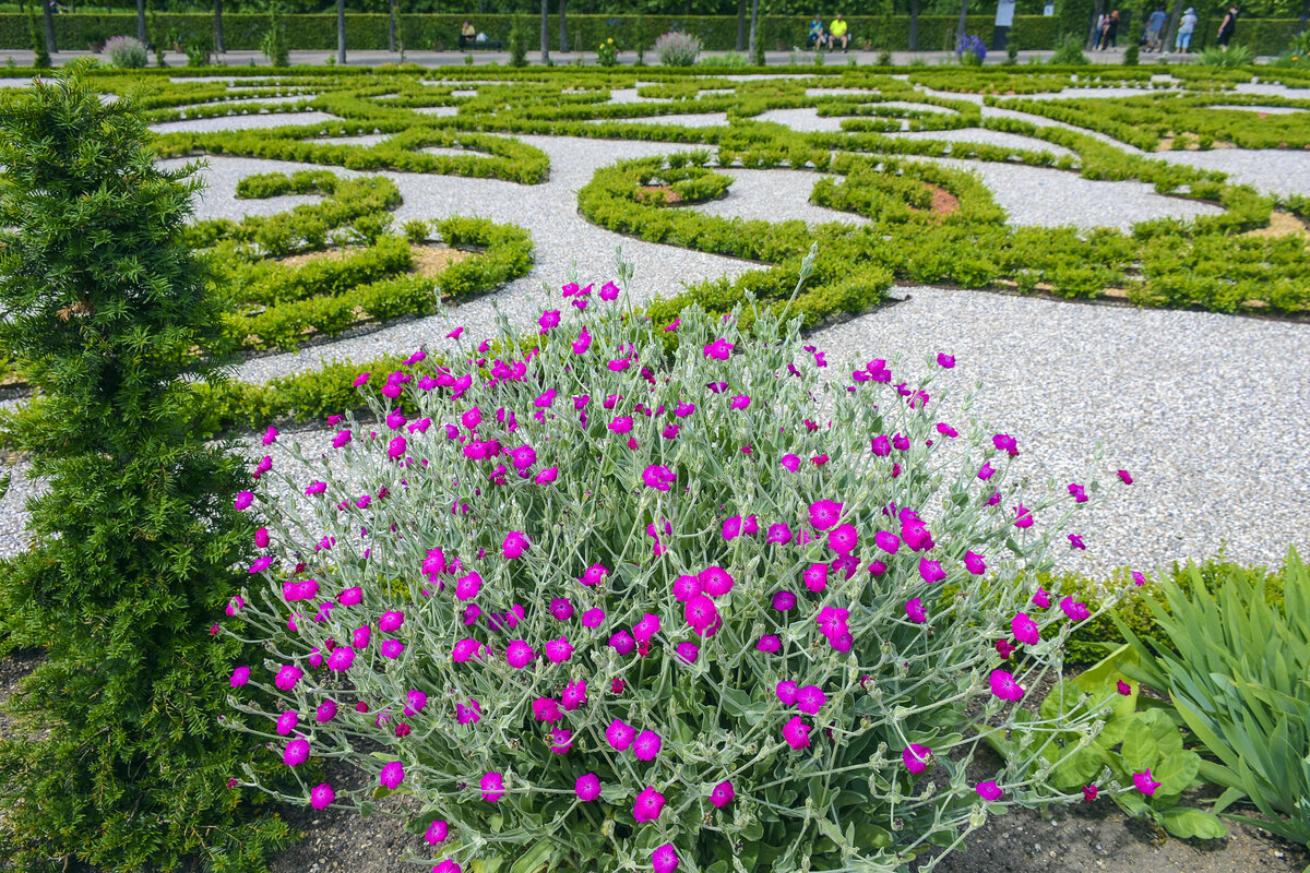 Der Schlossgarten von Frederiksborg in der Stadt Hillerød nördlich von Kopenhagen.  Der Barockgarten ist straff symmetrisch angelegt mit Terrassen, Kaskaden, formgeschnittenen Bäumen und königlichen Monogrammen.
Aufnahme: 24. Juni 2023.