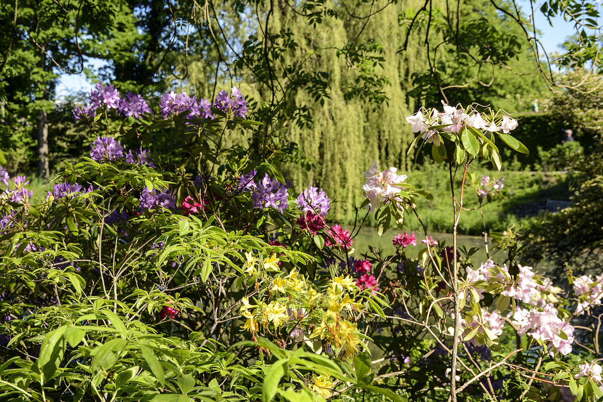 Der Schlosspark in Gravenstein (dänisch Gråsten) ist im Stil eines englischen Gartens angelegt. Aufnahme: 9. Juni 2021.