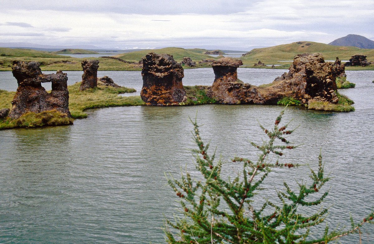 Der See Mývatn auf Island. Der See hat seinen Namen von den im Sommer teilweise sehr großen Mückenschwärmen, die jedoch Grundlage für den beachtlichen Fischreichtum und die vielfältige Entenpopulation sind. Bild vom Dia. Aufnahme: August 1995.