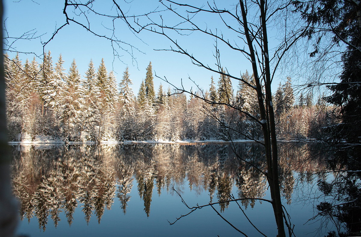 Der Silberteich bei Braunlage am Morgen des 13.02.2016; Blick vom Natur-Mythen-Pfad auf dem Ostufer...