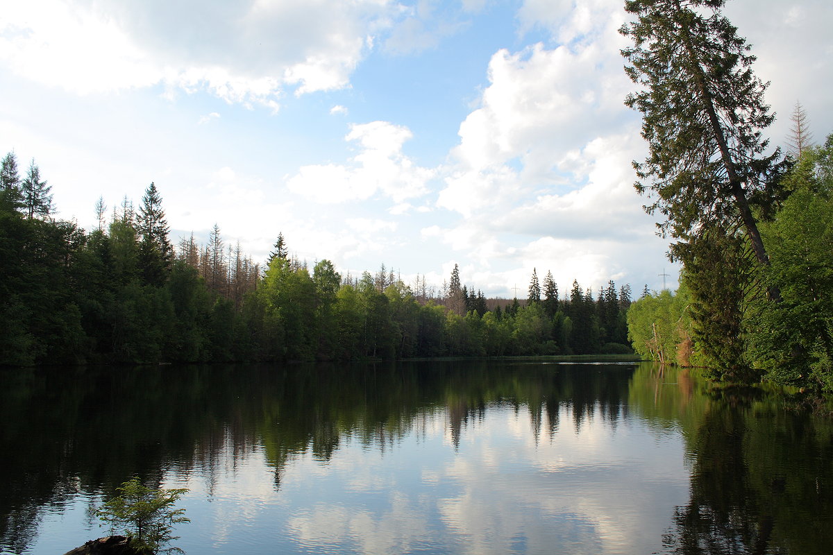 Der Silberteich bei Braunlage am frühen Abend, Aufnahme vom 11.06.2022