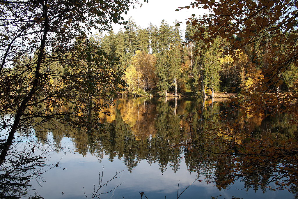 Der Silberteich bei Braunlage an einem schnen Oktobertag; Aufnahme vom Nachmittag des 22.10.2013 vom Westufer...