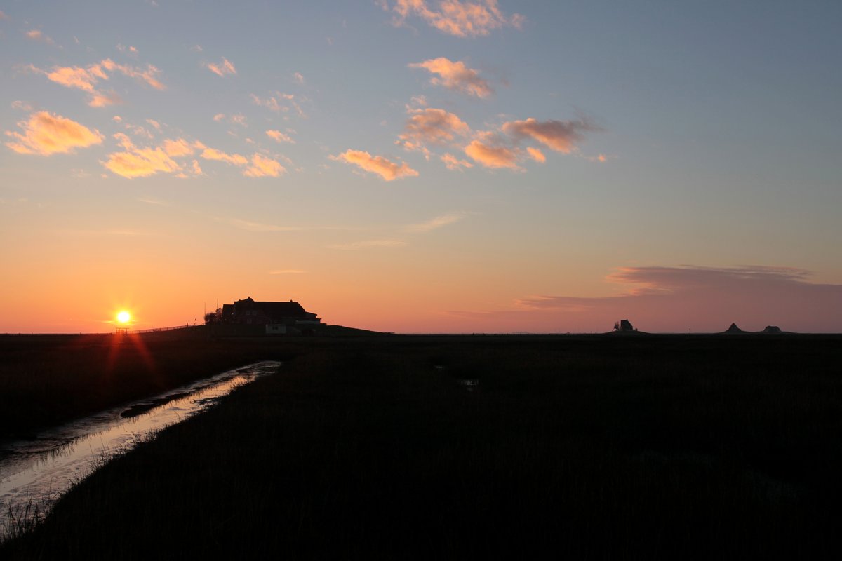 Der Sonnenuntergang, mit allen 4 Warften der Hallig Nordstrandischmoor, am 17.11.2014. 