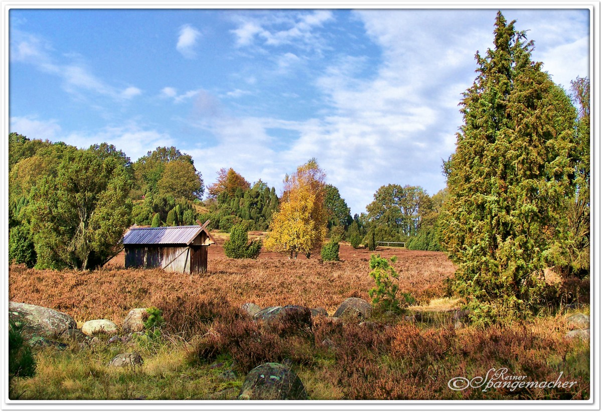 Der Steingrund im Herbst, Lüneburger Heide Oktober 2011.