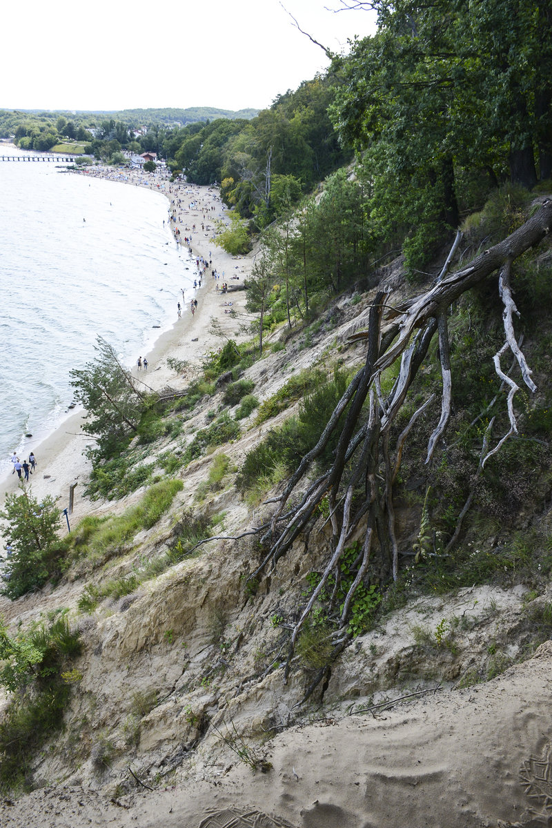 Der Strand am Orłowo (Adlerhorst) vom Kliff aus gesehen (Richtung Süd). Aufnahme: 15. August 2019.
Aufnahme: 15. August 2019.