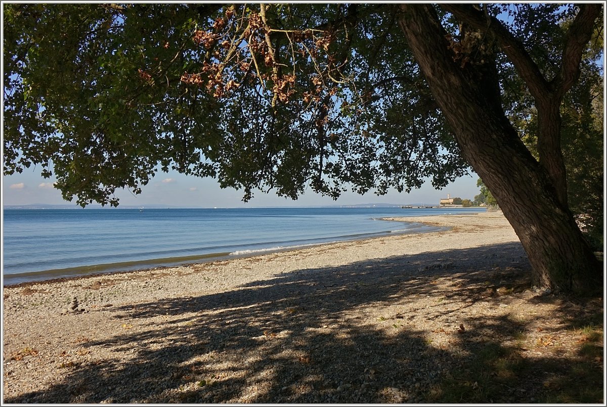 Der Strand bei Langenargen im September 2018.
(25.09.2018)