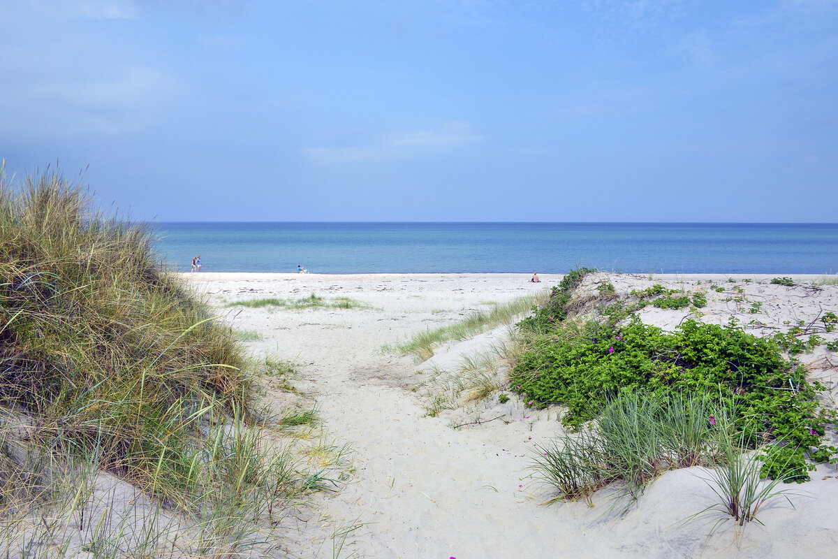 Der Strand bei Tisvilde Hegn in Nordseeland. Aufnahme: 21. Juni 2023.