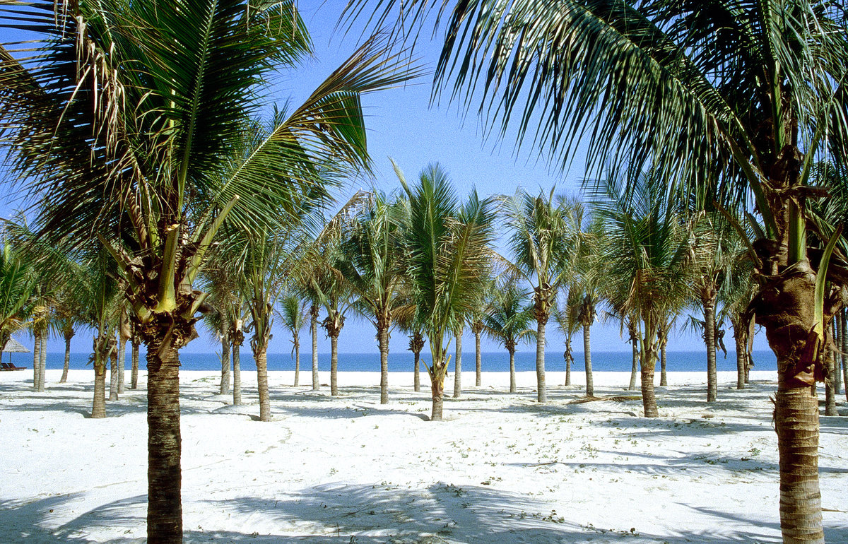 Der Strand von Cua Dai nördlich von Hội An. Bild vom Dia. Aufnahme: Januar 2001.