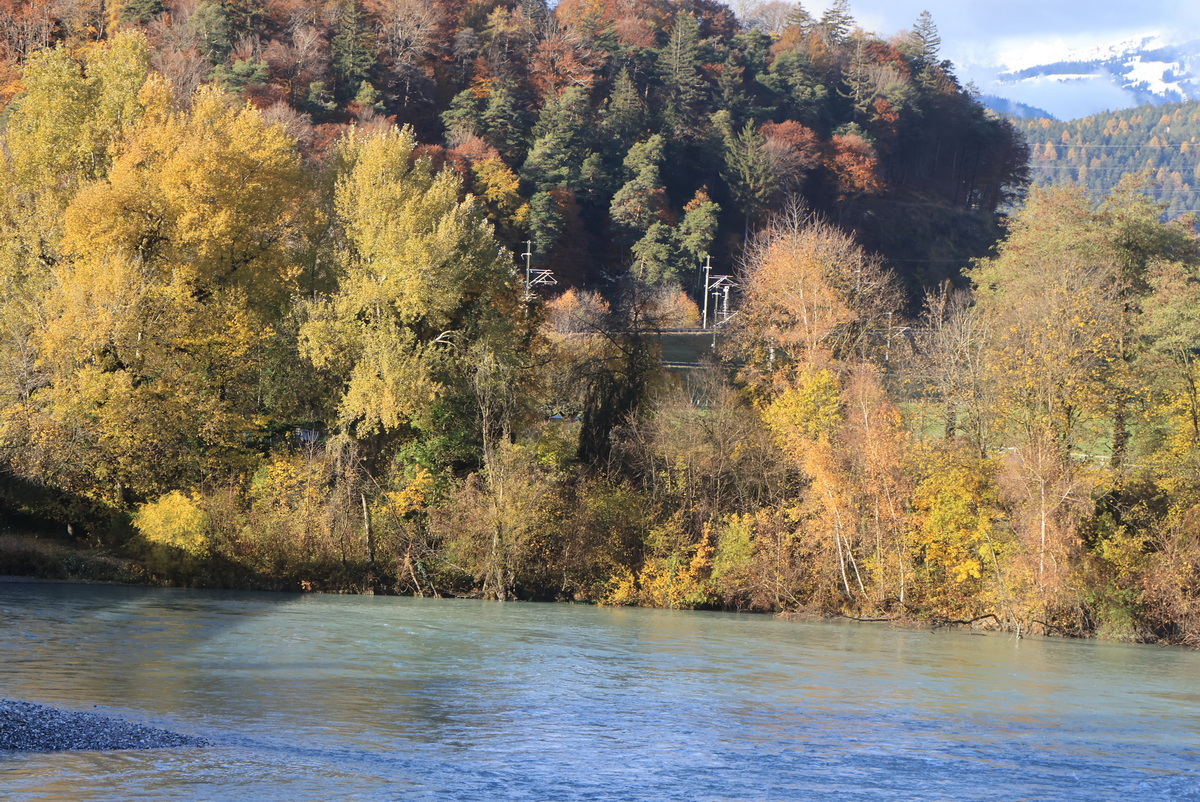 Der Tamins bei Reichenau am 20. November 2023.