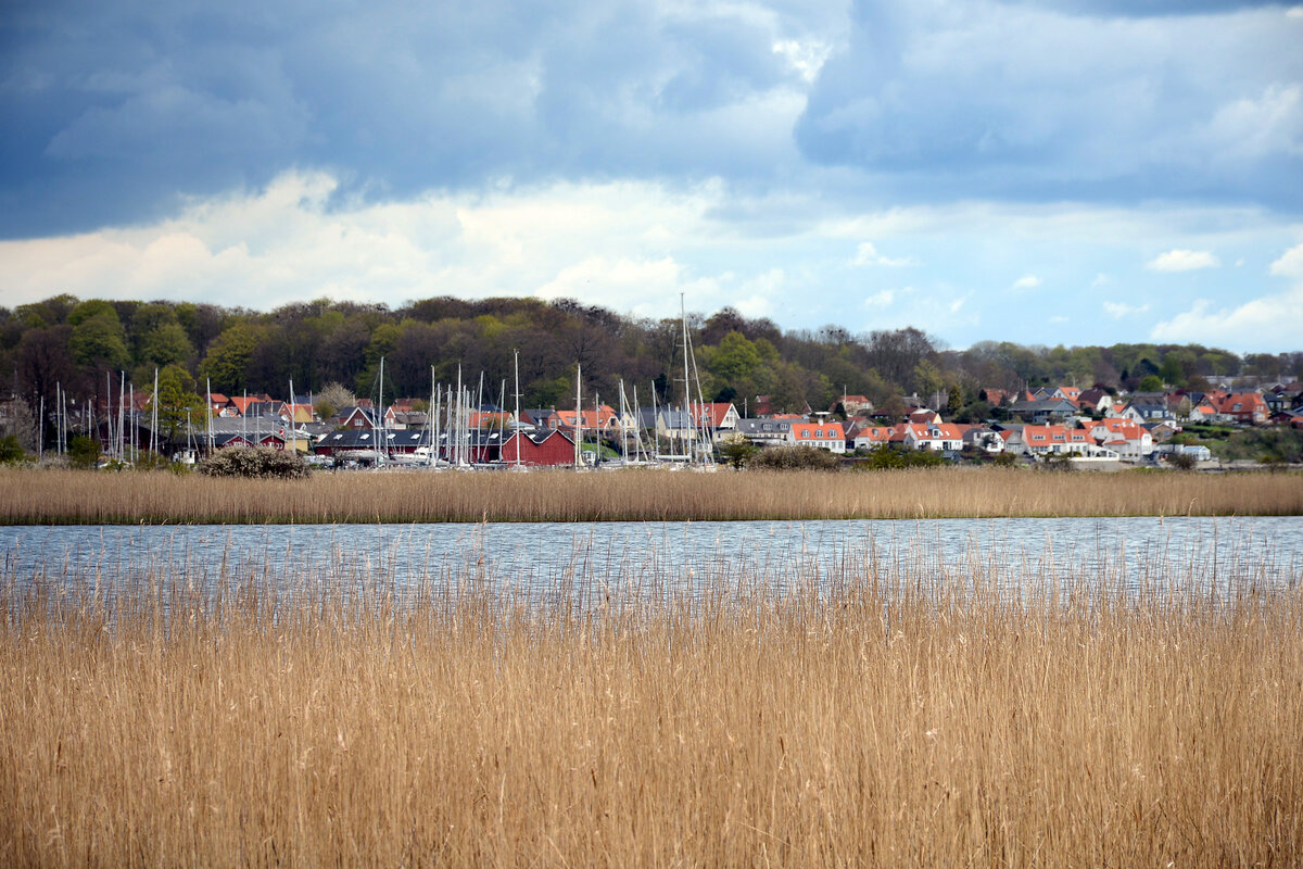 Der teich »Vælddam« östlich von Sonderburg (Sønderborg) in Nordschleswig (Sønderjylland). Aufnahme: 23. April 2024.