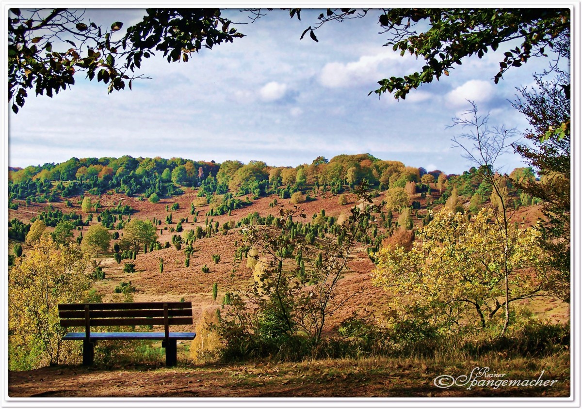 Der Totengrund in der Lüneburger Heide im Herbst. Blickrichtung über die Senke auf den Aussichtspunkt der Nordseite. Oktober 2011.