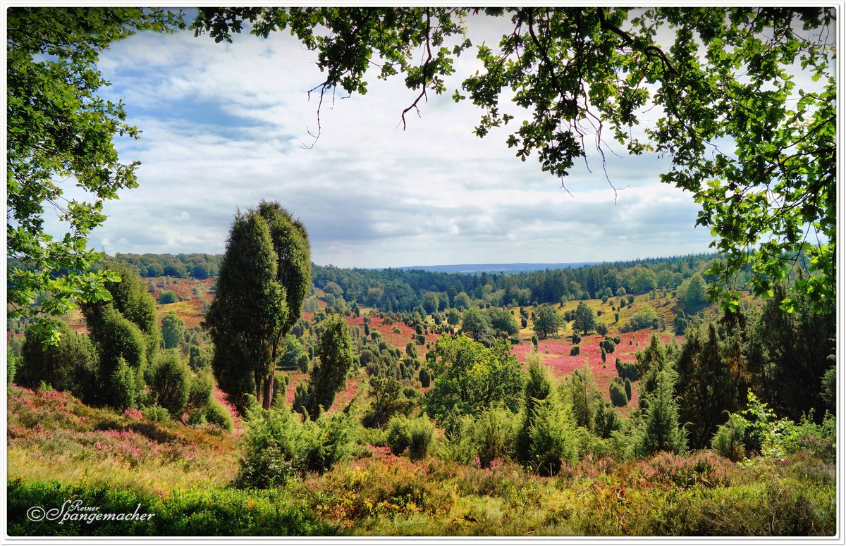 Der Totengrund im Naturschutzgebiet Lüneburger Heide, Vom Wanderweg aus schauen wir in die Senke aus der Saale Eiszeit, Blickrichtung Sellhorn und Bispingen. August 2017