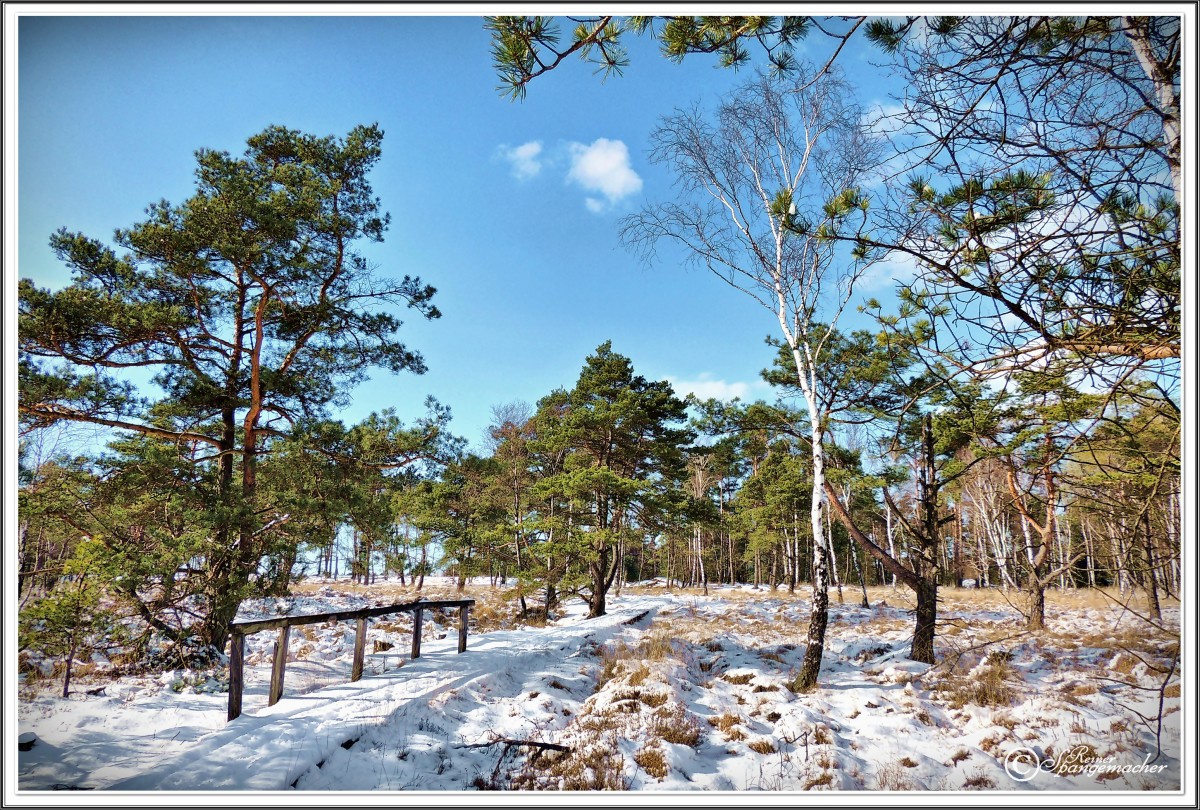 Der Uhlenstieg am Rande der Osterheide bei Schneverdingen, Winter im März 2013. Laut Ornithologen und Hinweisschildern, sollen hier im Frühjahr noch Eulen brüten. Übrigens, die Naturschutzakademie finden wir ganz in der Nähe. 