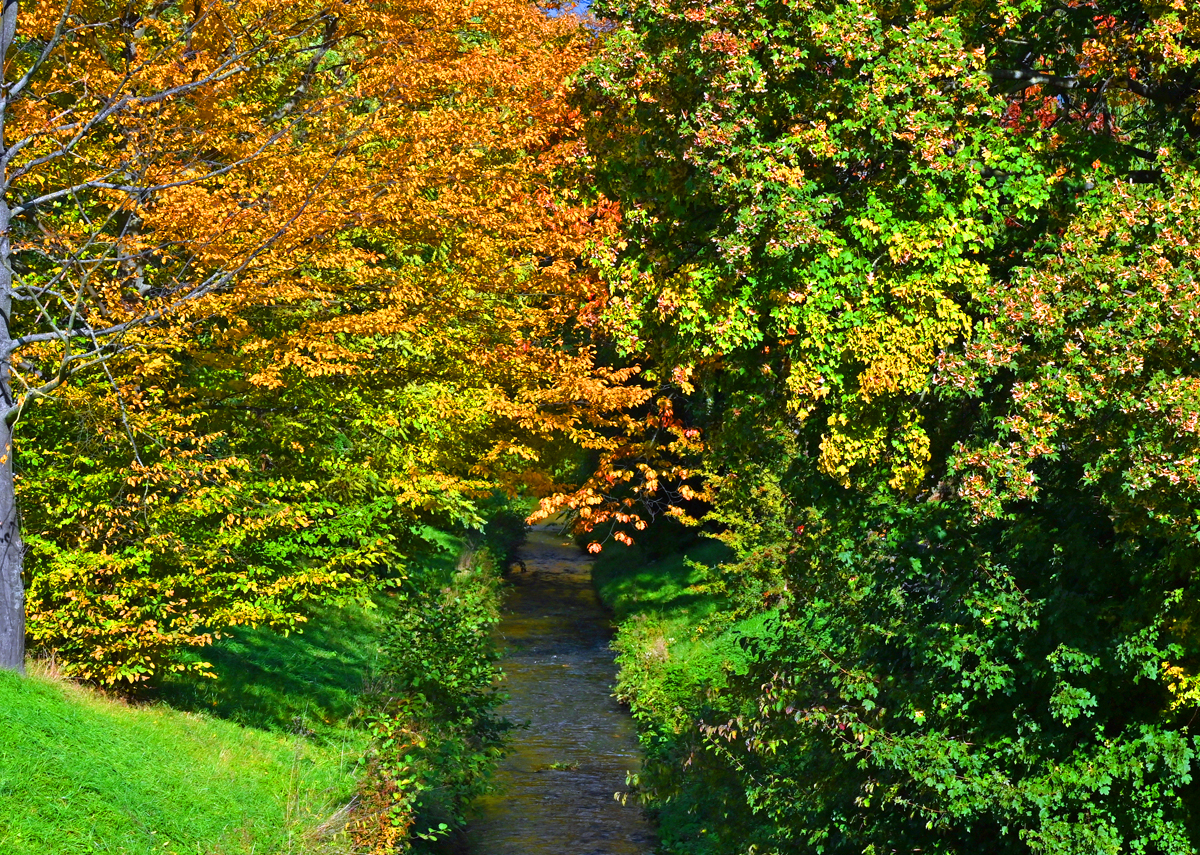 Der Veybach schlängelt sich durch die herbstliche Erftaue in Richtung Erft in Euskirchen - 22.10.2020