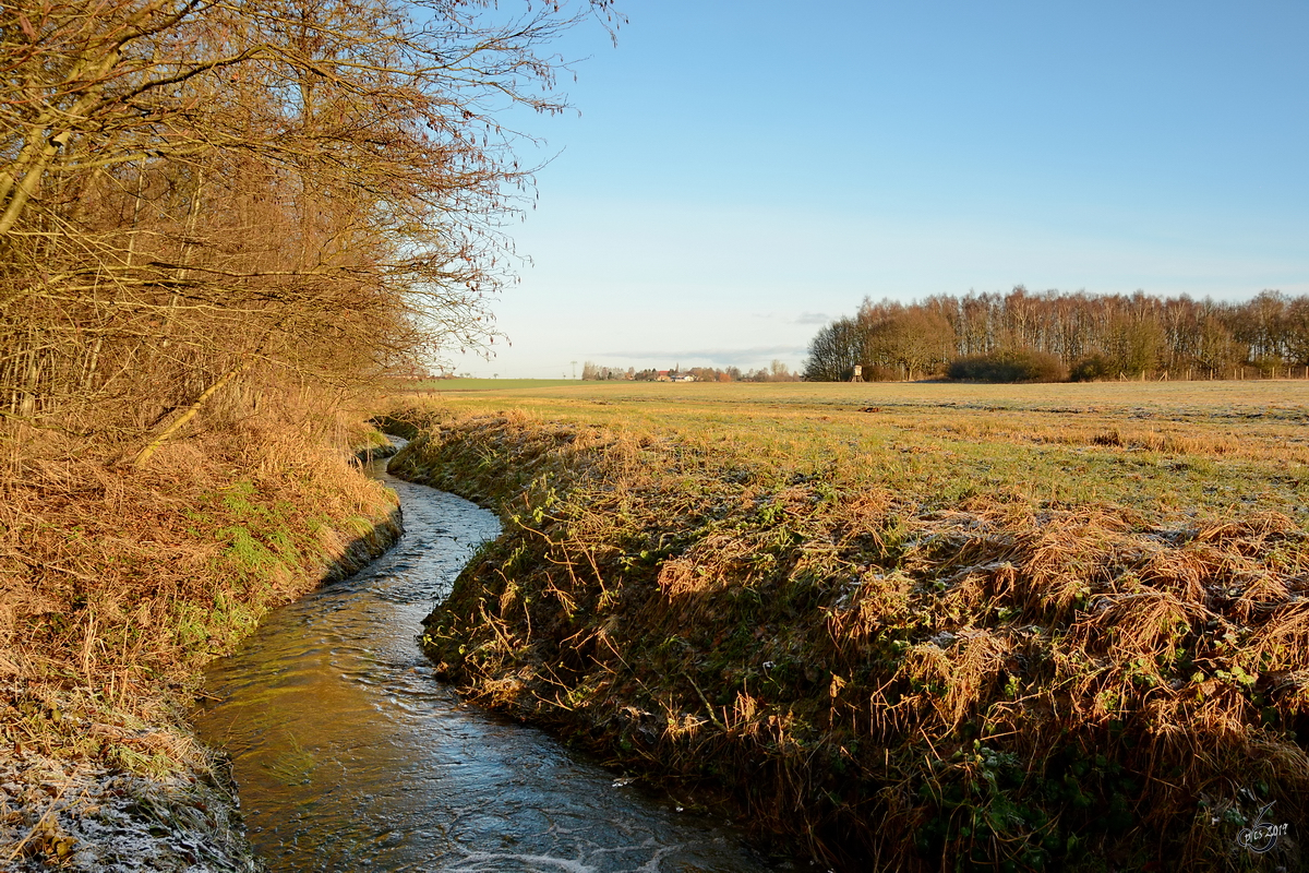 Der Völschower Bach am Östlichen Rand des Müssentiner Waldes. (Dezember 2014)