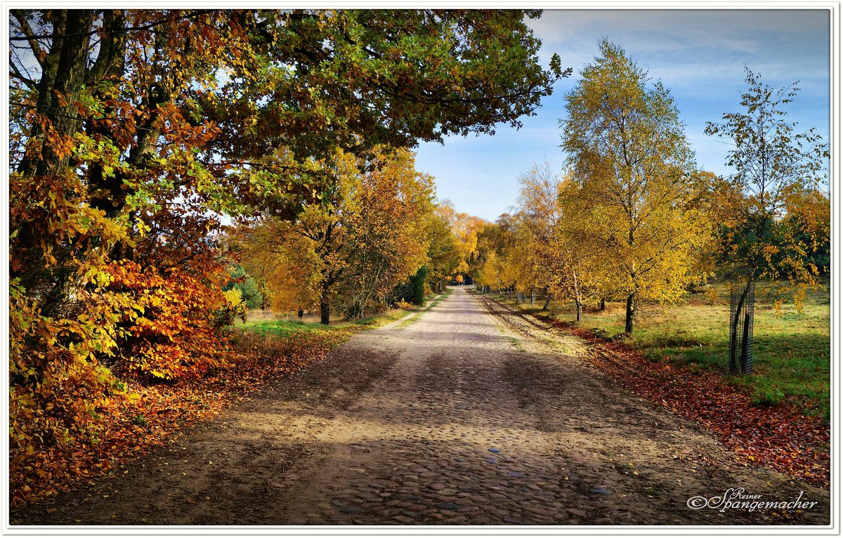 Der Wanderweg von Oberhaverbeck nach Wilsede, auch zahlreiche Kutschen nutzen im Sommerhalbjahr diesen Weg. Lüneburger Heide November 2018.