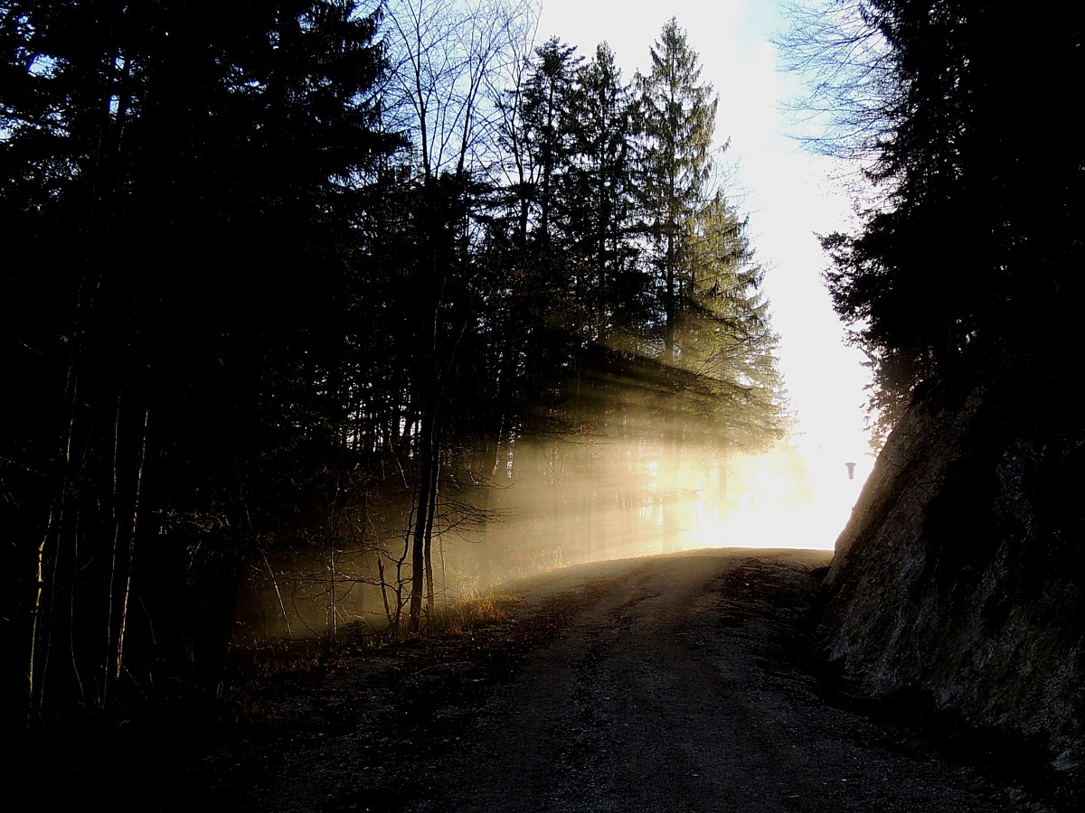  der Weg zum Licht  bzw. zum Zwölferhorn; 141123