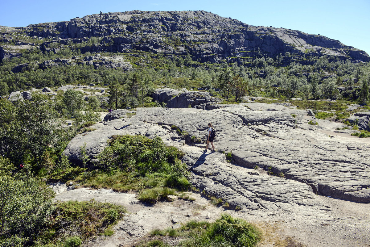 Der Weg zum Preikestolen in Norwegen ist steil und führt über Felsen aufwärts. Einige Zeit später erreicht man wieder flaches Gelände und durchquert einige moorige Abschnitte. Bald darauf beginnt der Hauptanstieg dieser Wanderung. Durch eine mit Geröll gefüllte Rinne führt der Weg über Blockfelsen steil bergauf. 
Aufnahme: 2. Juli 2018.