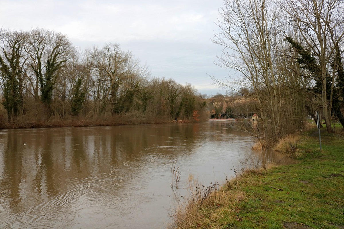 Derzeit führt die Saale Hochwasser, sodass die Warnstufe 2 bereits überschritten wurde. Blick auf die Saale an der Ziegelwiese in nördlicher Richtung. Auch wenn der Schein trügt, sind andere Bereiche stärker überschwemmt. [6.1.2018 | 11:42 Uhr]