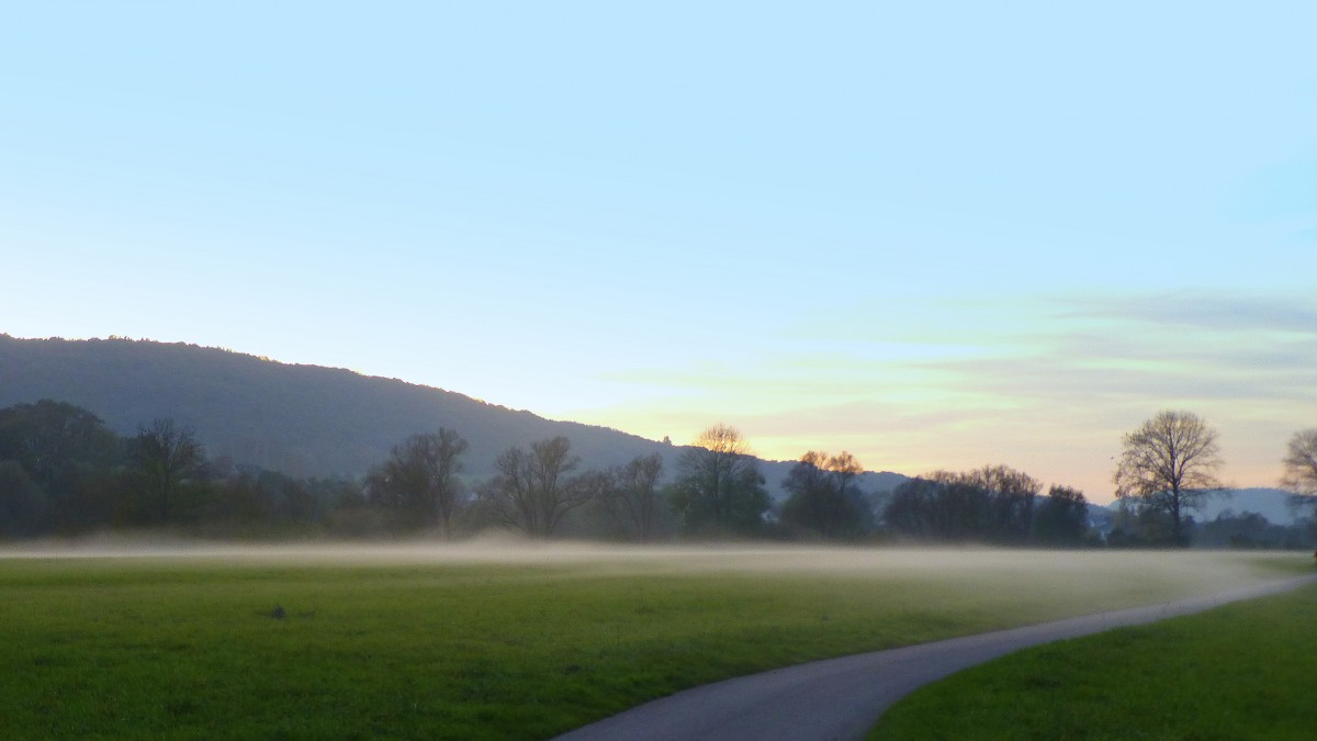 Deutschland, Rheinland-Pfalz, Landkreis Bernkastel-Wittlich, aufsteigender Bodennebel über einer Wiese am Moselradweg bei Kues an der Mosel