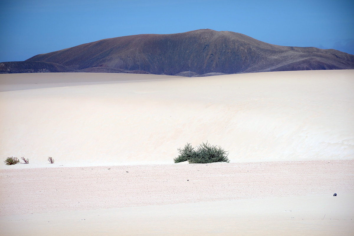 Die »Kleine Wüste« (Parque Natural de Corralejo) auf der Insel Fuerteventura in Spanien. Aufnahme: 19. Oktober 2017.