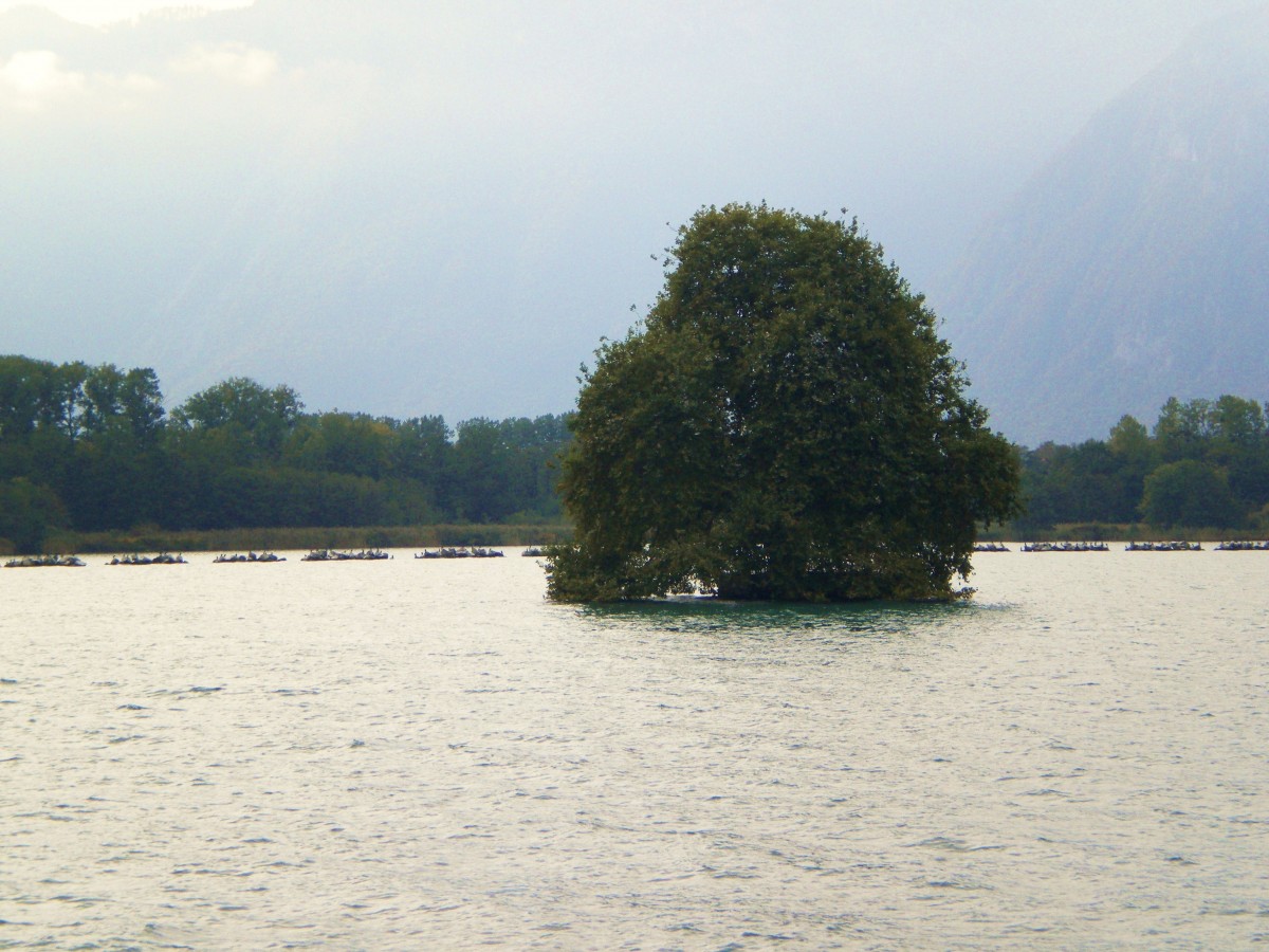 Die  Île de Peilz  ist eine kleine Waadtländer Insel im oberen Genfersee (Lac Léman). Sie liegt im seichten Wasser vor den Gemeinden Villeneuve und Noville, 500 m vom Ufer entfernt. Sie hat eine quadratische Form mit gemauerten Seiten, und eine Fläche von etwa 400  m². Eine grosse Platane steht auf der Insel. Sicht aus Villeneuve - 11.10.2010
