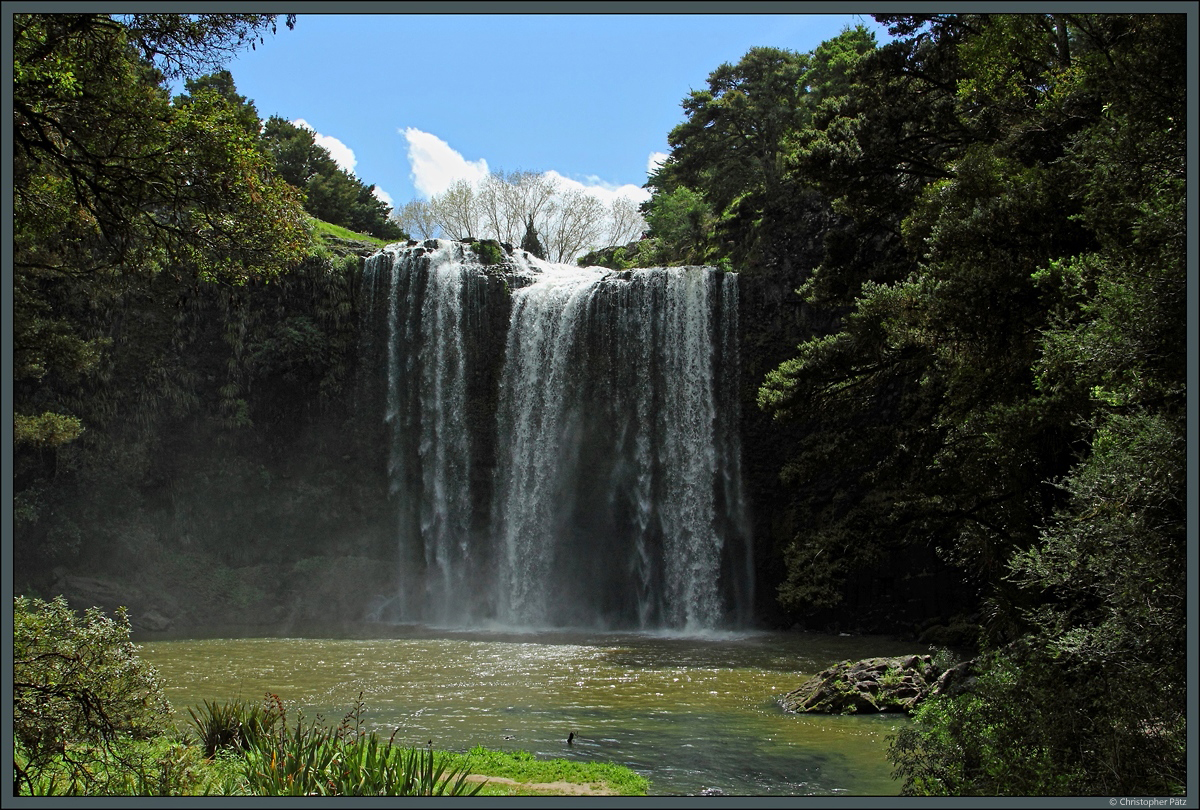 Die 26 m hohen Whangarei Falls befinden sich unmittelbar am Stadtrand von Whangarei inmitten eines kleinen Parks. (11.10.2016)