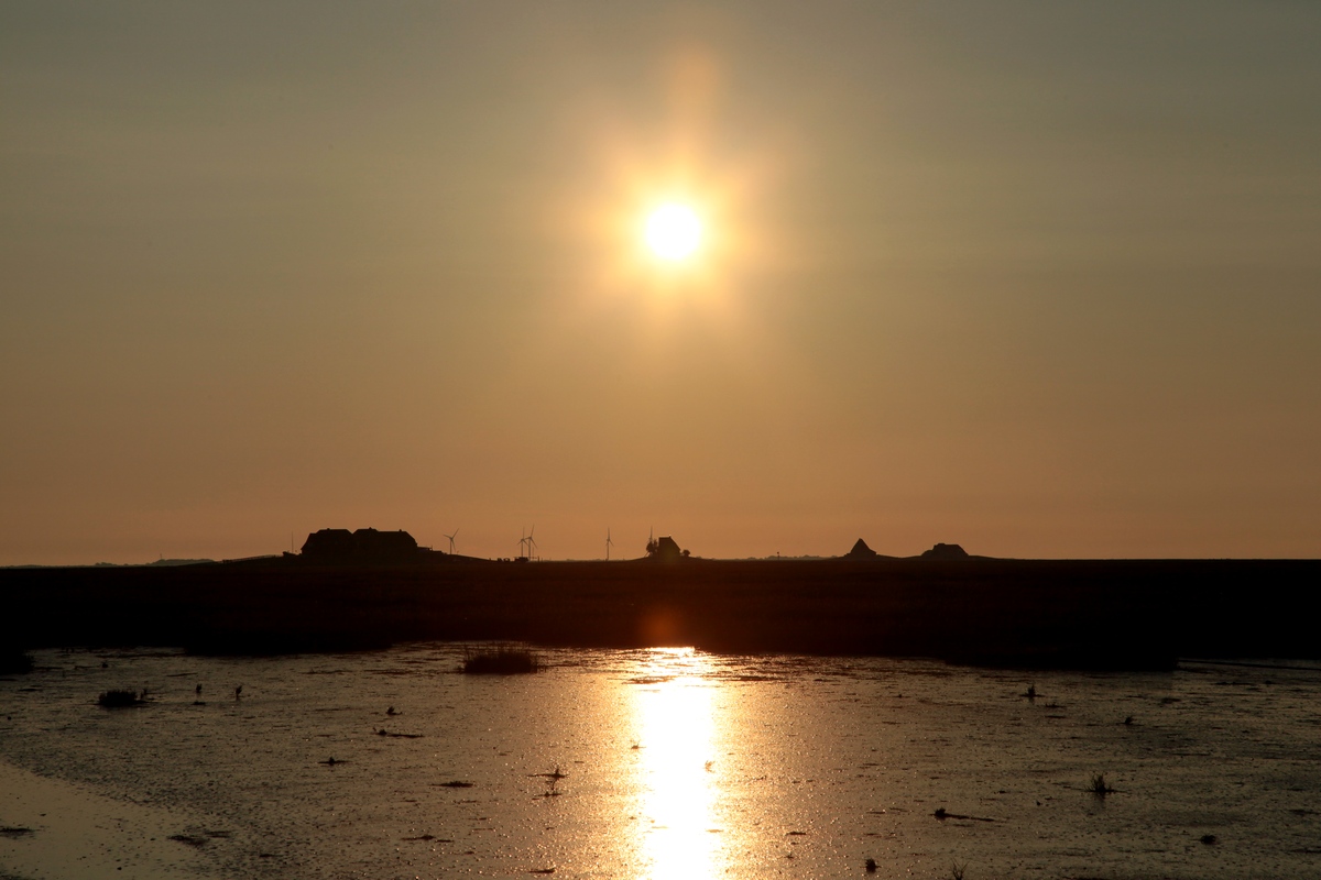 Die 4 Warften der Hallig Norstrandischmoor im Gegenlicht am 18.09.2017, die Aufn. entstand während der Fahrt mit der Lore, auf dem Lorendamm, von Lüttmoorsiel zur Hallig.