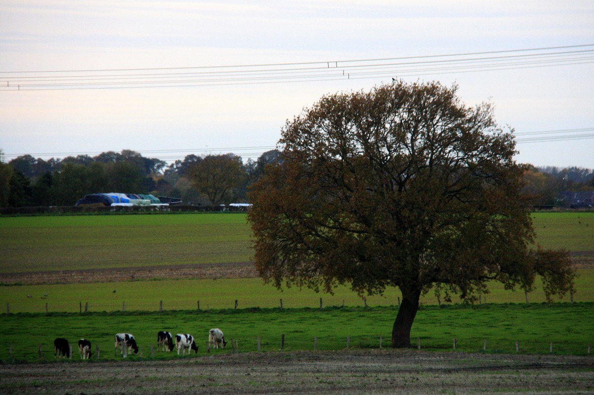 Die Abendstimmung Aufgenommen in Kohlscheid-Bank am Abend vom 11.11.2013.