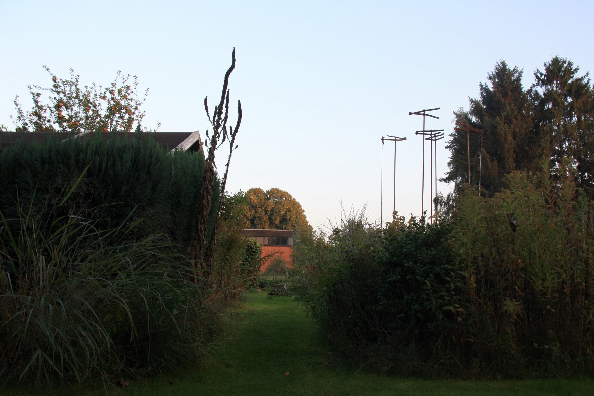 Die Abendstimmung im Garten in Kohlscheid-Bank am 24.9.2013.