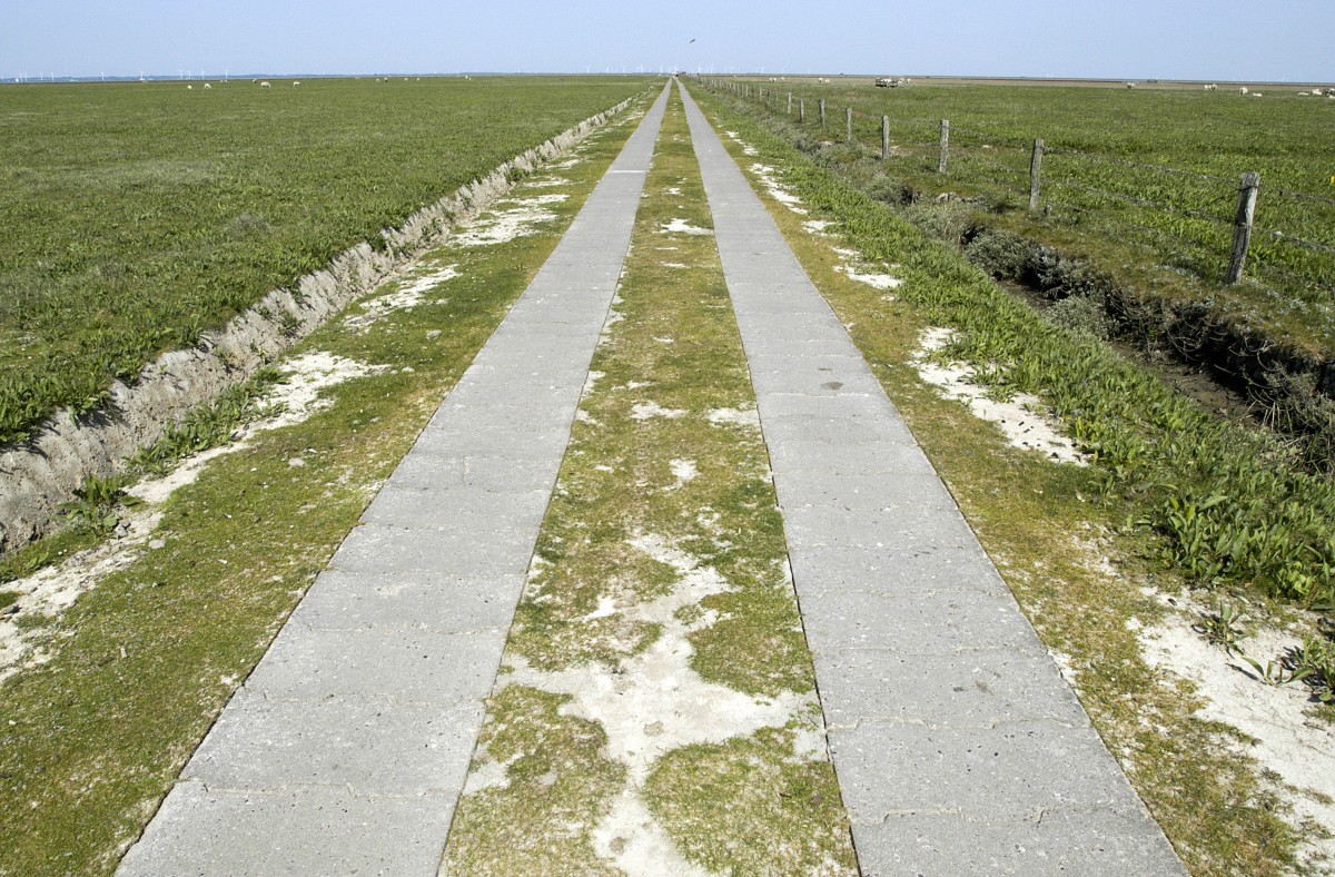 Die Bahnhofstraße auf der nordfriesischen Hallig Nordstrandischmoor. Die Straße führt vom Warft zum Lore-Bahnhof. Aufnahme: Mai 2008.