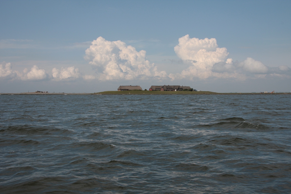 Die beiden Warften der Hallig Gröde, vom Postboot aus gesehen, am 08.06.2012.