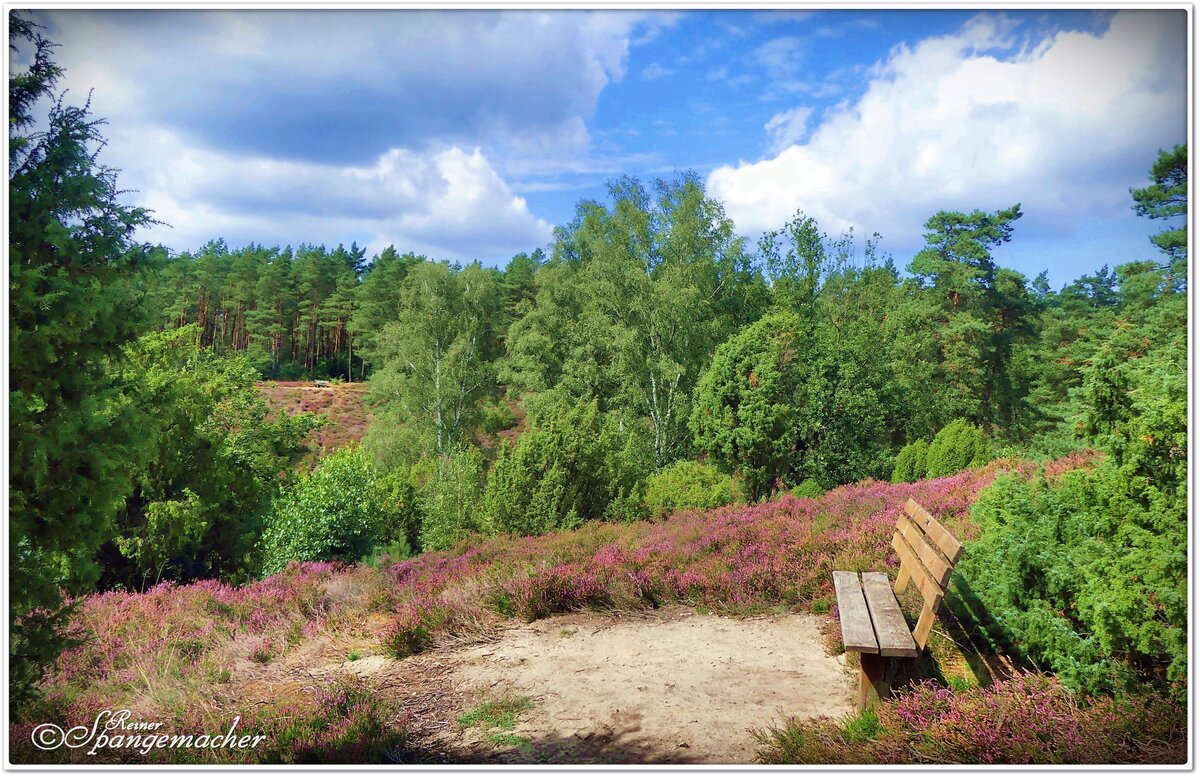 Die Borsteler Kuhle ist eine Senke, von Heide & Wald bedeckt, bei Bispingen in der Lüneburger Heide. Oberhalb stehen Bänke, von dort lässt sich die herrliche Aussicht genießen. Am ersten September 2023