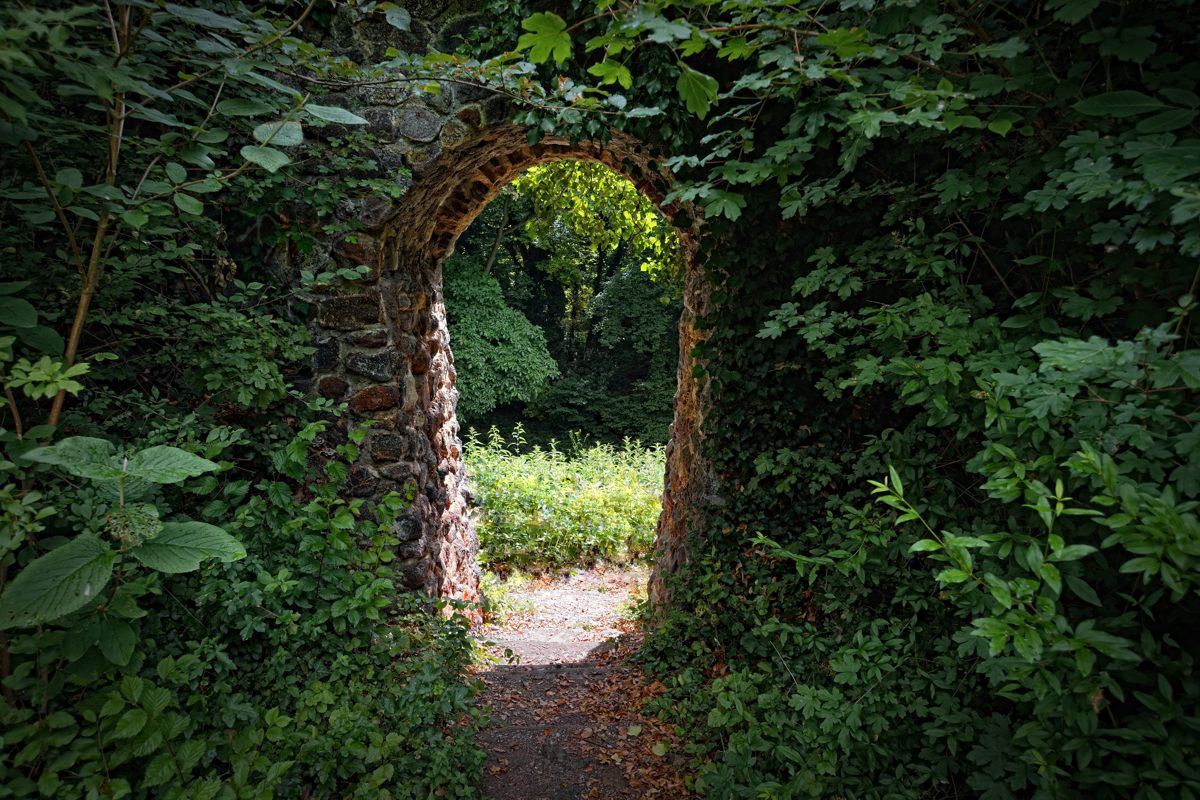 Die Burg Limburg, auch Limpurg oder Alte Limburg genannt, ist die Ruine einer Spornburg auf einem 272 m ü. NN hohen Ausläufer des Kaiserstuhls, dem Limberg, 40 Meter über dem Rhein auf der Gemarkung der Gemeinde Sasbach am Kaiserstuhl im Landkreis Emmendingen in Baden-Württemberg.13.06.2015