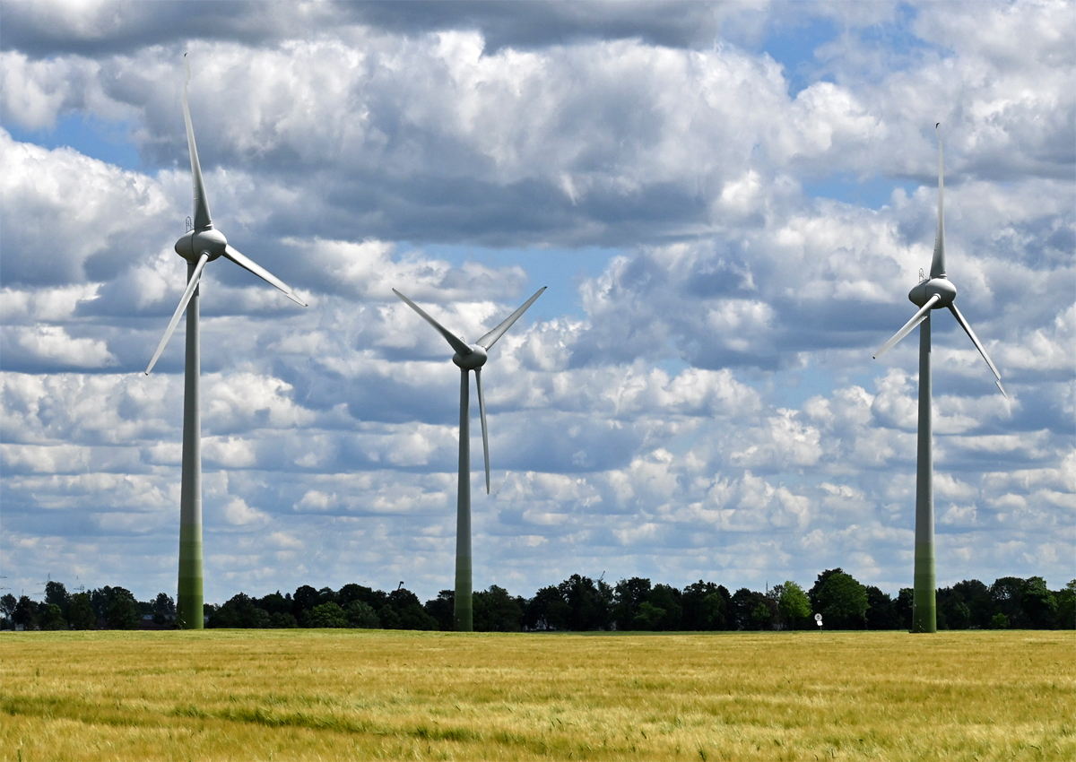 Die drei W`s - Windräder, Wolken und Weizenfeld bei Swisttal-Odendorf - 25.05.2022