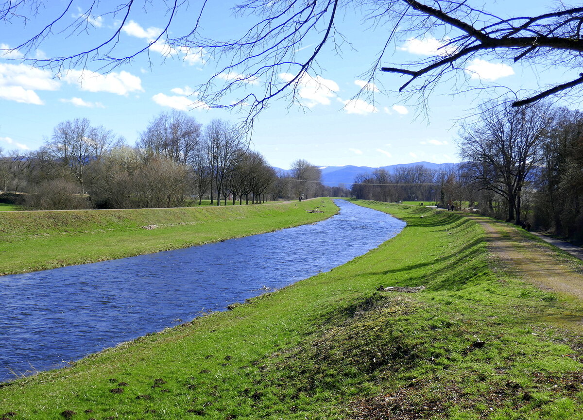 die Dreisam bei March-Neuershausen, Blick flußaufwärts mit dem Schwarzwald im Hintergrund, Feb.2024