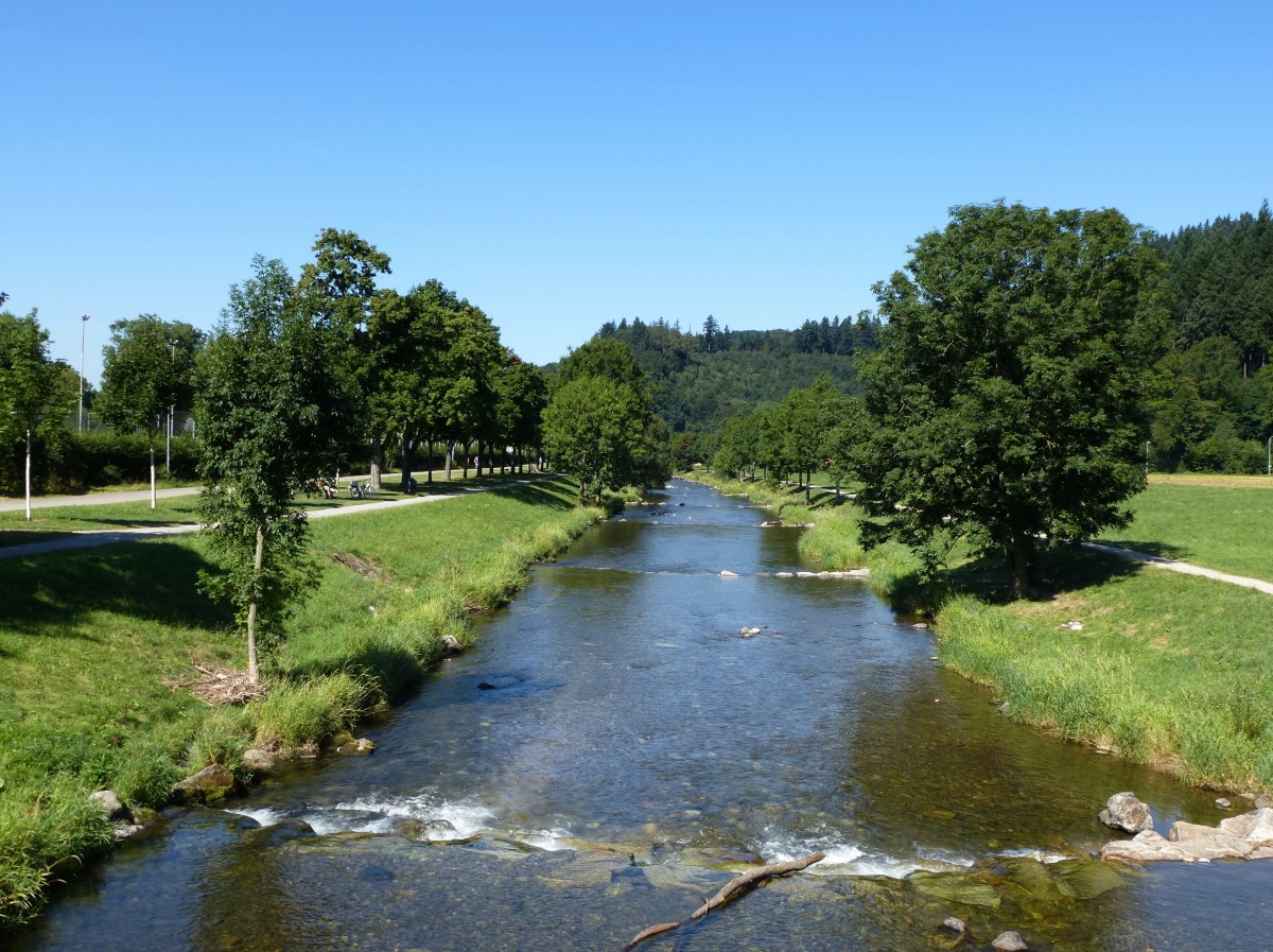 die Dreisam hat aus dem Schwarzwald kommend die Stadt Freiburg erreicht, Aug.2013