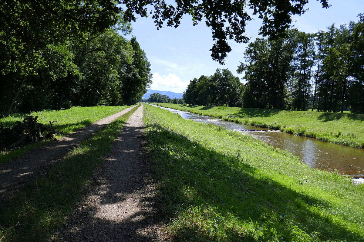 die Dreisam westlich von Freiburg im Juli 2019