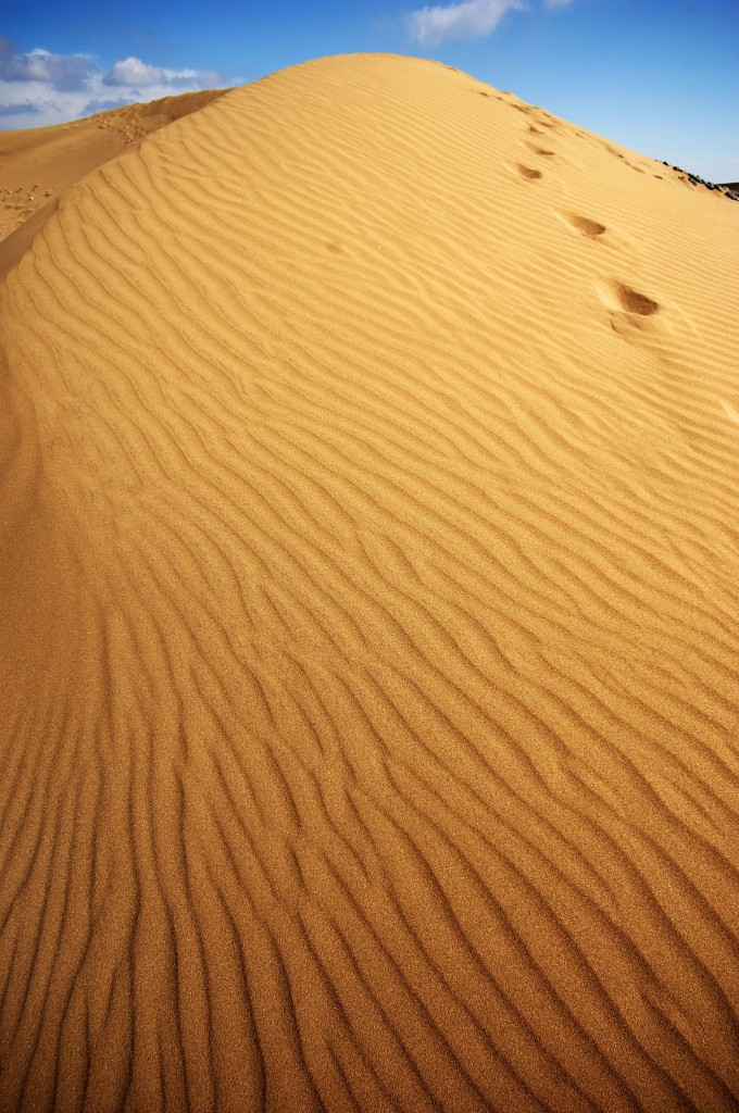 Die Dünen von Maspalomas. Aufnahme: Oktober 2009. Ist man in den Dünen unterwegs und steht gerade in einer Senke kommt schon fast Saharafeeling auf. Bloß Kamele fehlen noch. 