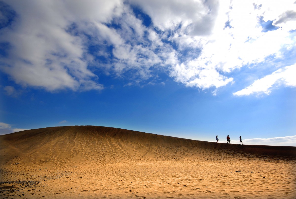 Die Dünen von Maspalomas. Aufnahme: Oktober 2009. Der angeschwemmte Sand wird vom Passatwind weiter landeinwärts getragen, bis er auf ein Hindernis trifft und sich zu einer Düne auftürmt, welche dann ca. 2- 5m pro Jahr weiter landeinwärts wandert, bis sie sich durch ihr Gewicht und Bewuchs so stark verfestigt hat, dass die Wanderbewegung stockt. 